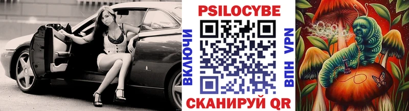 Псилоцибиновые грибы Psilocybine cubensis darknet официальный сайт Советская Гавань